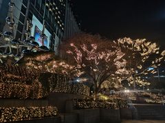 -乐天免税店(明洞店)