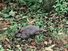 -青峰峡国家森林公园