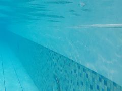 -蓝海豚游泳俱乐部(南京西路店)
