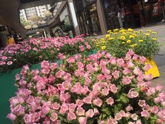 -Apple零售店(成都太古里店)