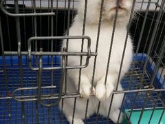 android_upload_pic-后海16号·北京私房菜