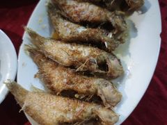 -蛇口康乐快餐鱼仔档(翠苑小区店)