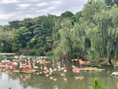 -宁波野生动物园
