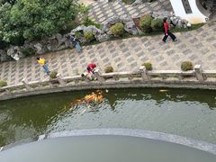 -苏州吴宫泛太平洋酒店