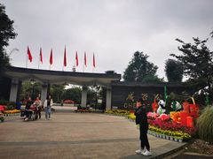 -成飞公园