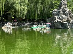 -团结湖公园
