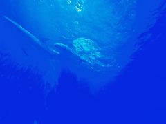 -多彩贵州城极地海洋世界