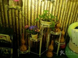 android_upload_pic-克丽缇娜