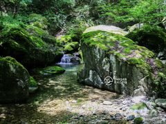 -牛背梁国家森林公园
