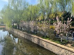 -元大都城垣遗址公园
