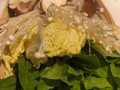 -同仁四季椰子鸡(福田东园总店)