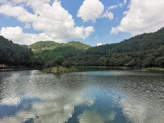 -广州白江湖森林公园