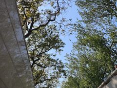 -王府井天主教堂