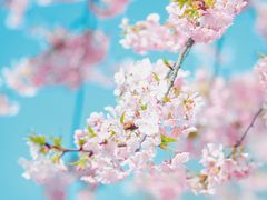 -上海辰山植物园