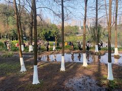 -重庆彩云湖湿地公园
