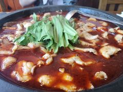 麻辣石锅鱼-都江堰石锅鱼