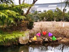 -白马涧龙池景区