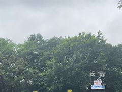 -广州长隆飞鸟乐园