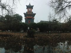 -四川大学(华西校区)