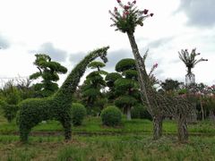 -武汉紫薇都市田园