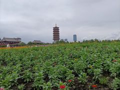 -长春北湖公园