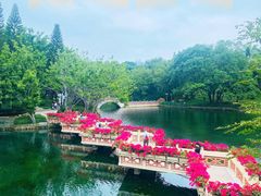 -深圳龙潭公园