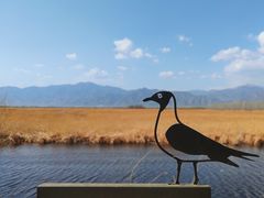 -野鸭湖国家湿地公园