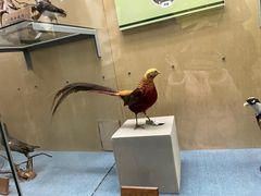 -陕西自然博物馆