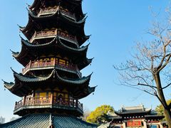 -龙华素斋(龙华路店)