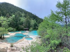 -黄龙山原始森林景区
