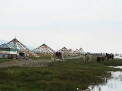 -青海湖国家重点风景名胜区