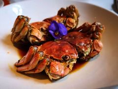 -玫瑰厅上海菜(兴国路店)