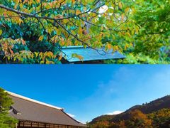 -天龙寺