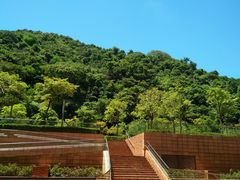 -香港大学