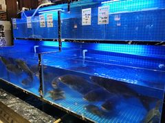 -姜君·千岛湖鱼头馆(浦东大道店)