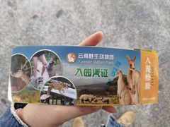 -昆明动物园
