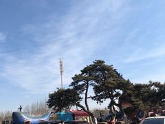 -泉城欧乐堡海洋极地世界