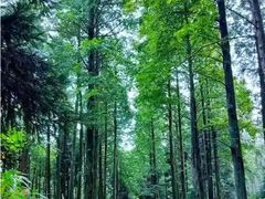 -罗田薄刀峰风景区