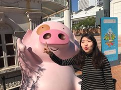 -九龙公园