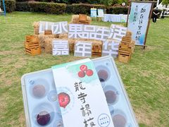 -龙寺生态园