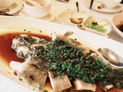-南麓·浙里(外滩店)