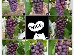 -美家乐农庄·露营·团建(大治路店)