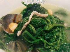 -巡味顺德菜(龙华壹方城店)