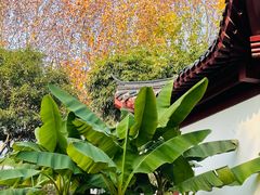 -堤角公园