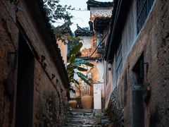 -杨家堂村