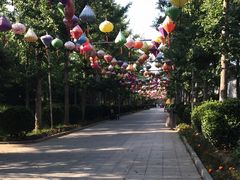 -南宫五洲植物乐园