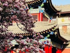 -西安市广仁寺