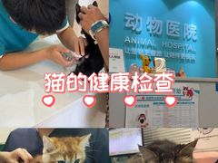 -美迦爱-动物医院·骨科·牙科·夜诊(朝阳路诊疗中心)