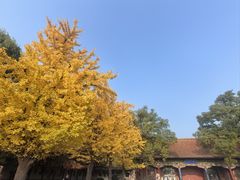 -晋祠公园