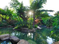 -昆明柏联SPA温泉